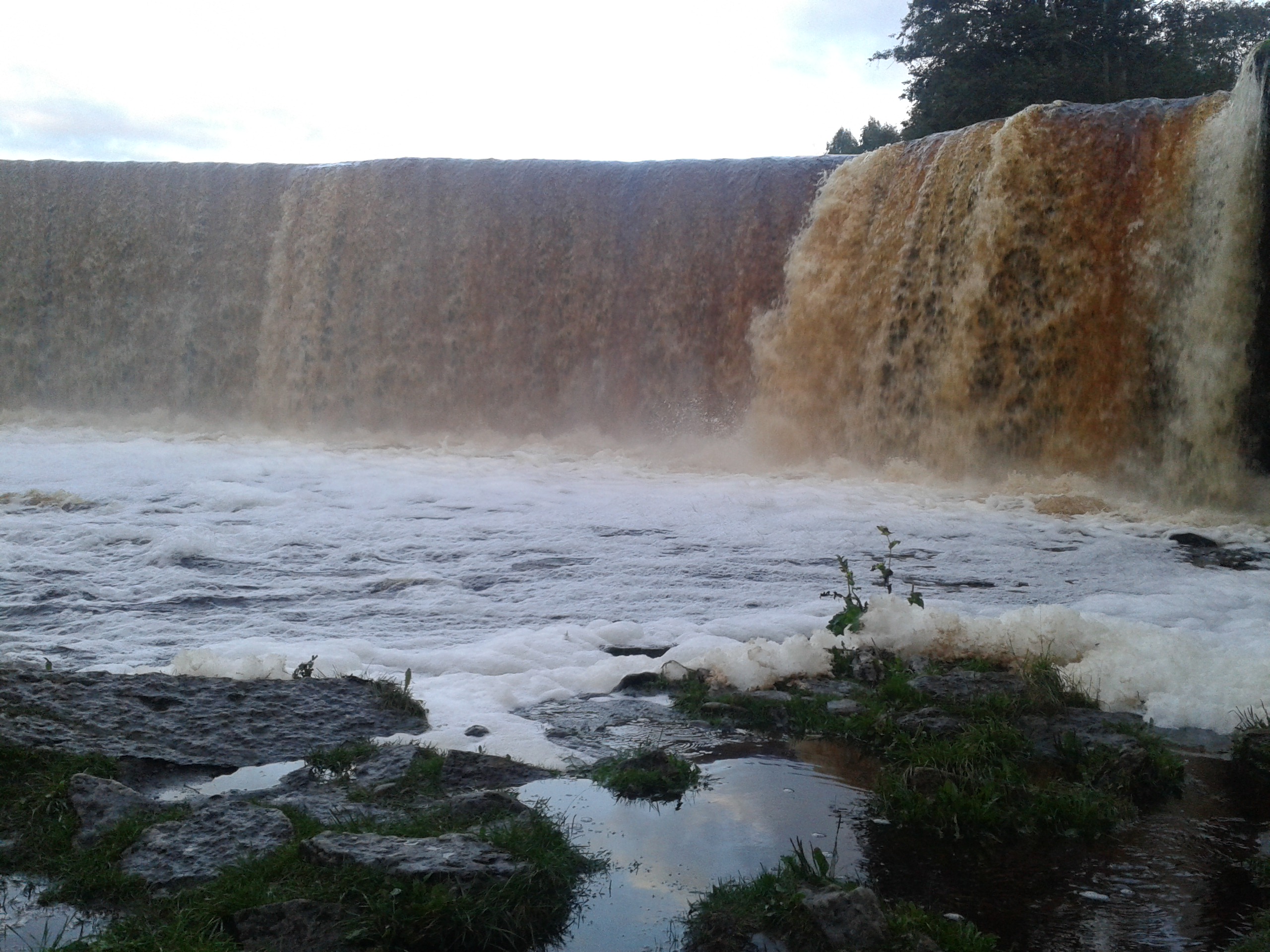 Fast 8 Meter hoch ist der Jägala-Wasserfall und mit 50 Metern der breiteste in Estland. Ich frage mich, ob Coca-Cola hier schon mal über ein Sponsoring nachgedacht hat.
