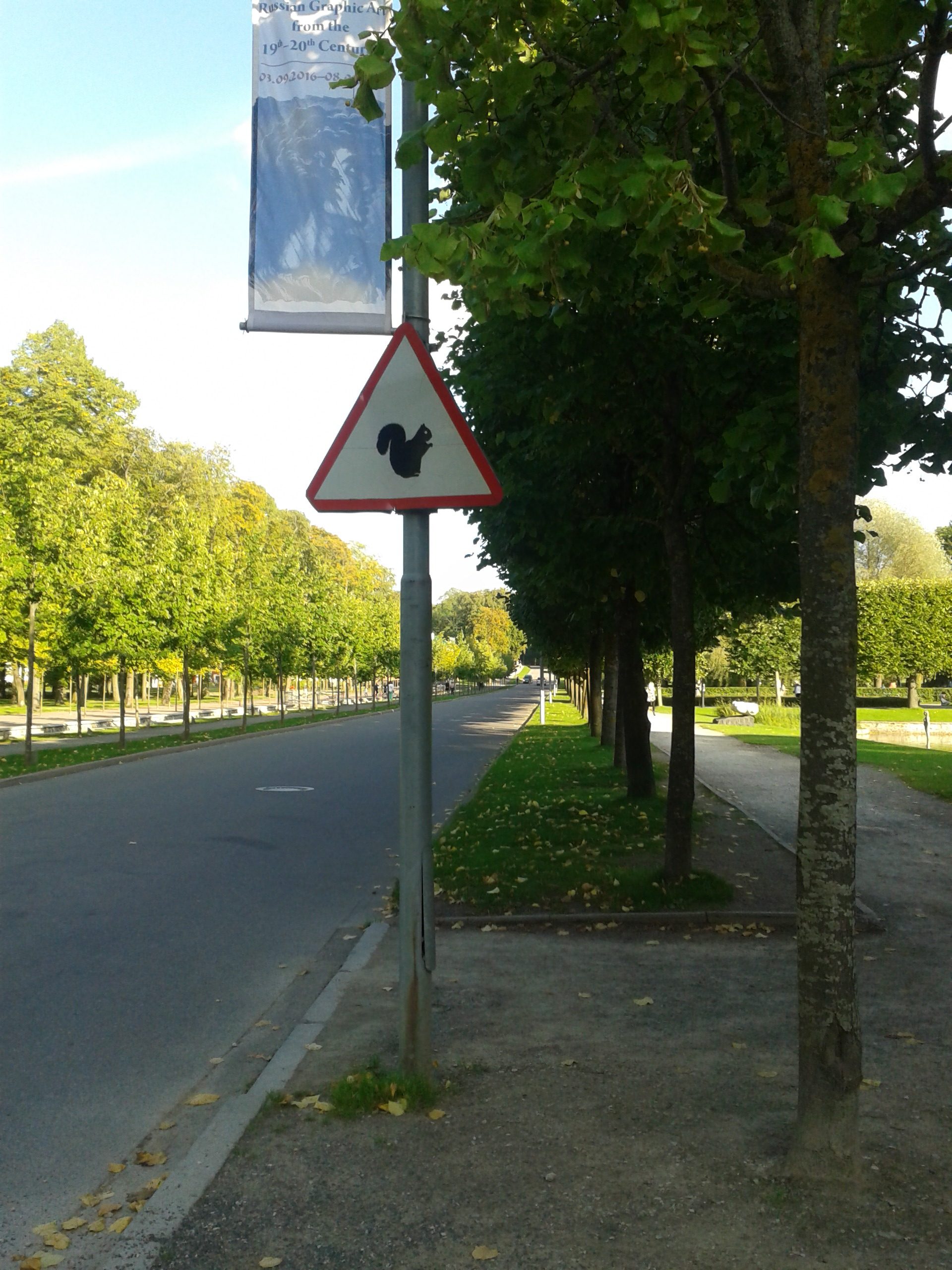 Achtung Eichhörnchen! Ob die Exemplare im Kadriorg-Park (Katharinen-Tal) besonders bissig sind, konnte ich noch nicht herausfinden.